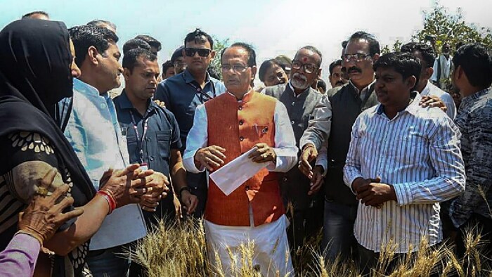 फसली नुकसान का जायजा लेते मुख्यमंत्री शिवराज सिंह चौहान (फोटो-India Today/PTI)