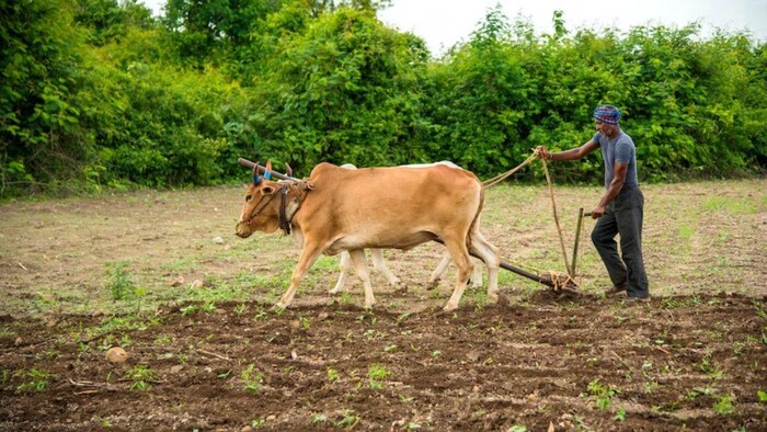 खरीफ की बुआई से पहले गहरी जुताई कर खेत को सेहतमंद बना सकते हैं किसान, फोटो: साभार फ्रीपिक