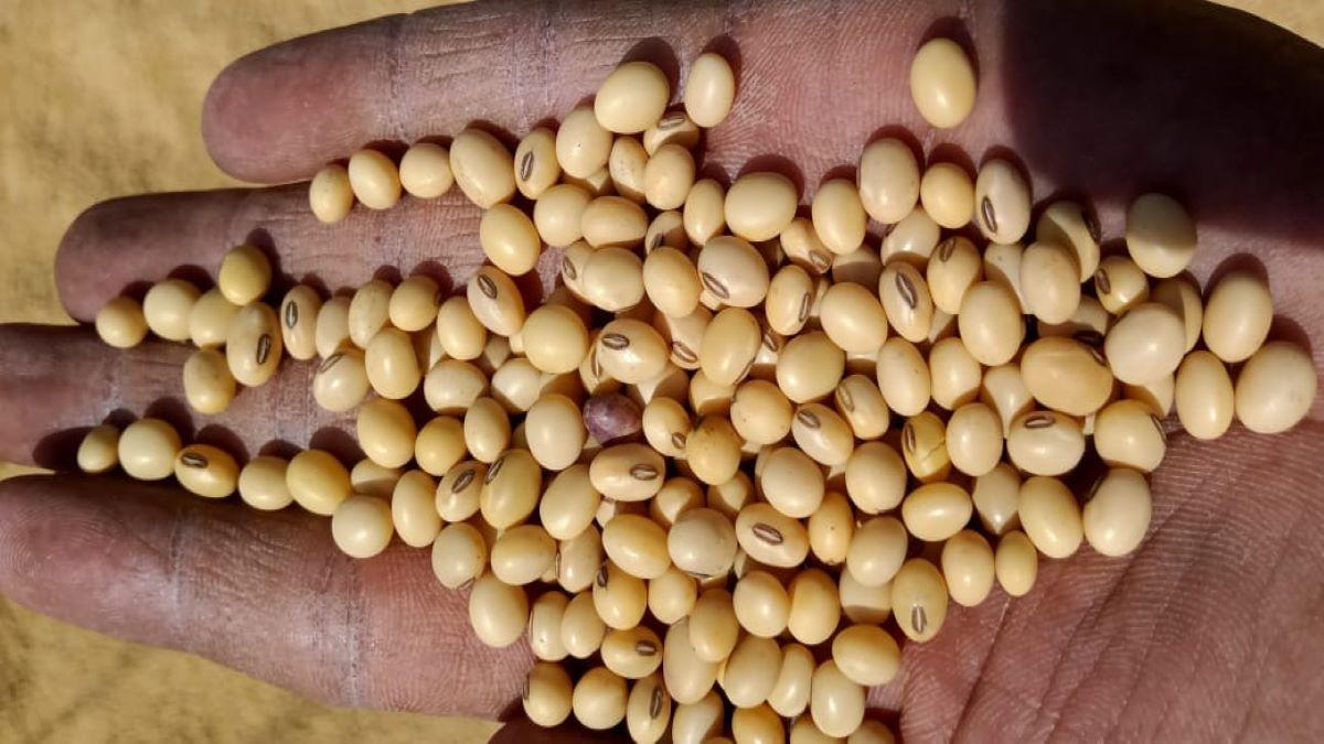 Maharashtra: खरीफ सीजन की फसलों की बुवाई के लिए अधिकारियों ने किसानों को दी ये सलाह