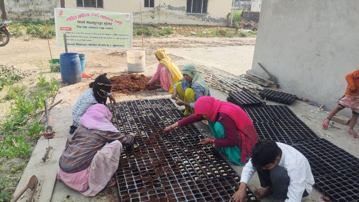 UP : फेसबुक लाइव से गन्ना किसान सीखेंगे खेती के तकनीकी पहलू