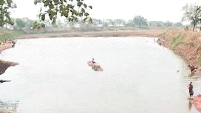 यूपी सरकार देती है 50 प्रतिशत सब्सिडी, फोटो साभार: (aaj tak)