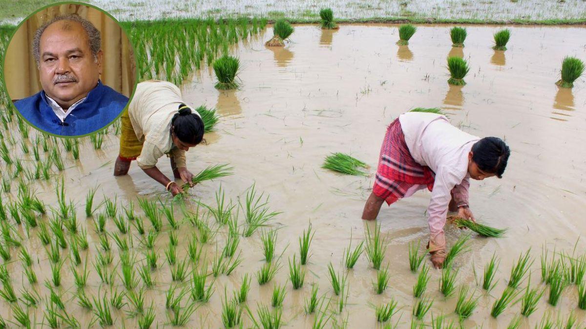 El Nino impact: खरीफ मौसम की बुवाई पर दिख सकता है एल-नीनो का असर