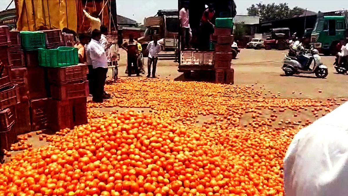 पुणे की नारायणगांव मंडी में कम दाम से परेशान किसानों ने फेंका टमाटर (Photo-Kisan Tak).