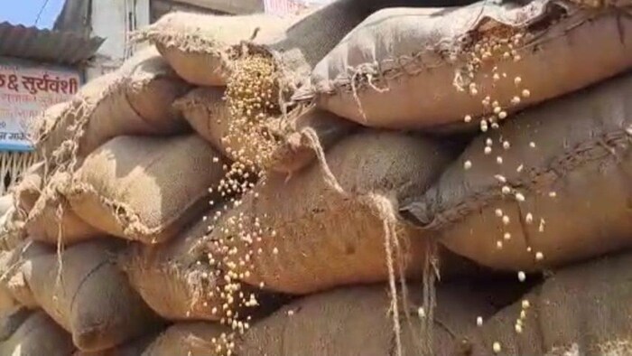 किसानों को तुअर दाल का अच्छा दाम मिल रहा हैं
