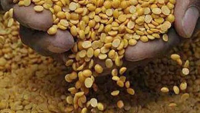 Summer Crops: दलहनी और मोटे अनाजों की खेती में इजाफा