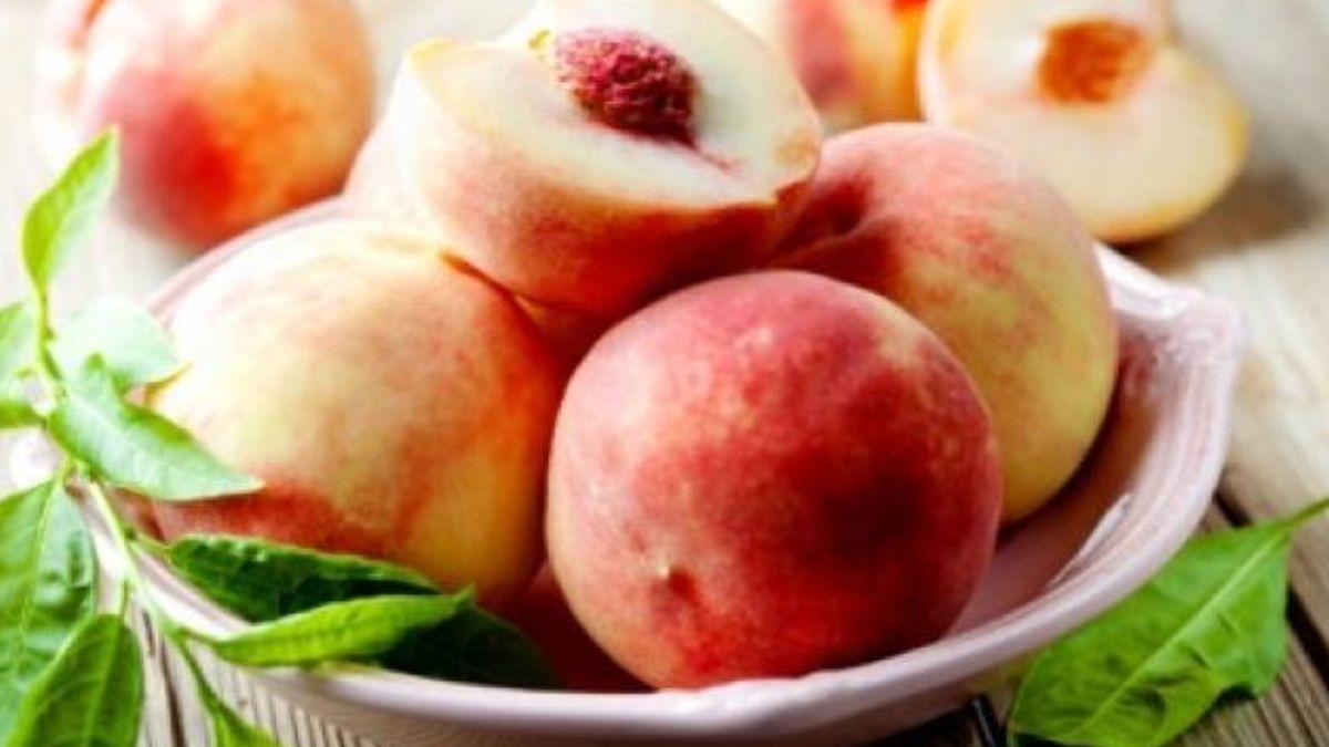 आड़ू की खेती की नई तकनीक इजाद, पैदावार बढ़ने से किसानों को होगा लाभ