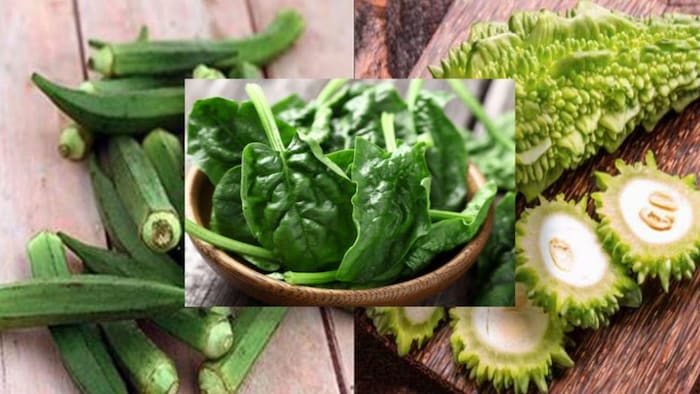 बड़े काम की है इन तीन सब्जियों की खेती