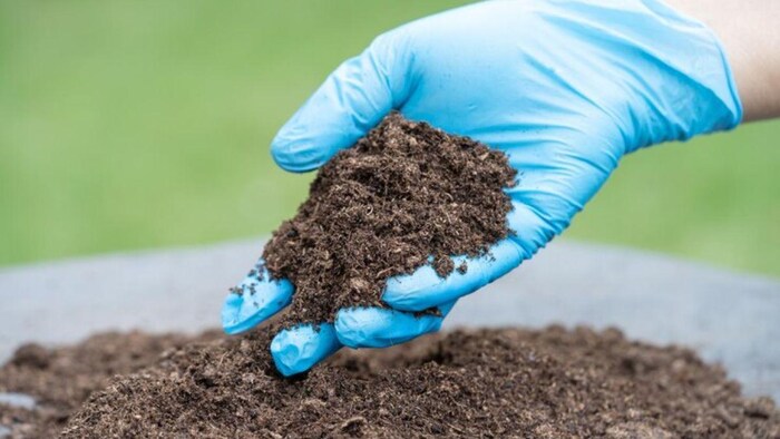 इस राज्य में मिट्टी के छह लाख नमुनों की होगी जांच, फोटो साभार: freepik