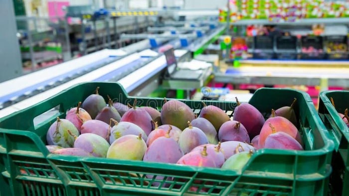 बिहार में फलों के पैक हाउस बनाने के लिए सरकार दे रही है बंपर सब्सिडी