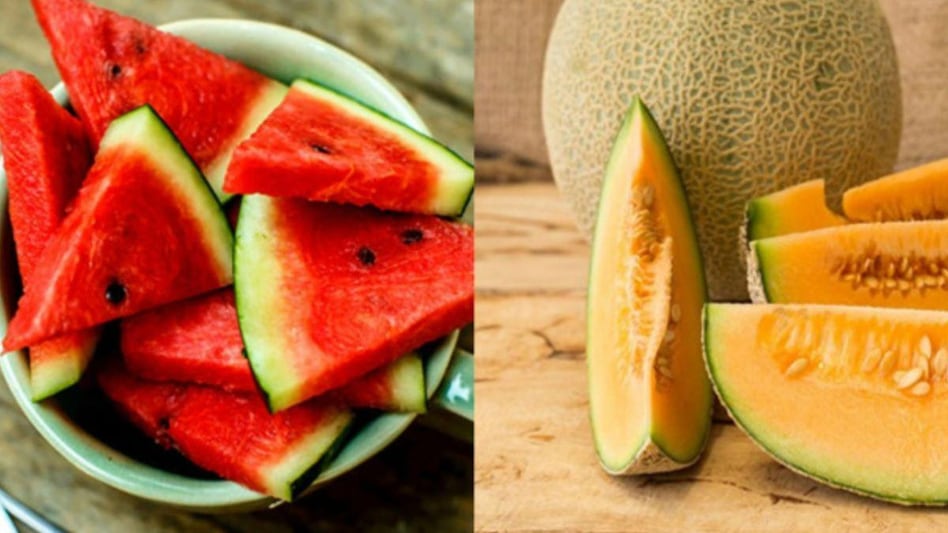 खरबूज या तरबूज? सेहत के लिए क्या है ज्यादा फायदेमंद? जान लें पूरी डिटेल - watermelon or musk melon know which is better for health in hindi -