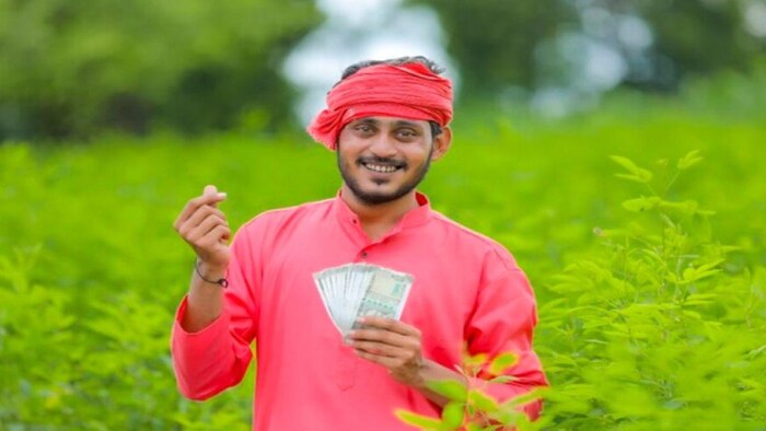 धान नहीं, कोई और फसल लगाने पर 7000 रुपये दे रही ये सरकार, फोटो साभार: freepik