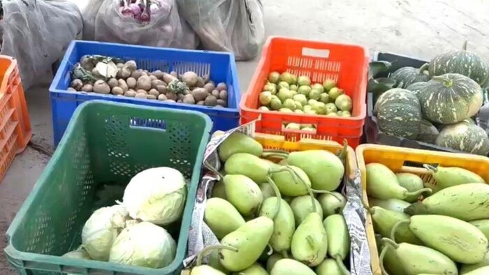 सब्जियों का प्रतीकात्मक फोटो. फोटो क्रेडिट-परमजीत सिंह