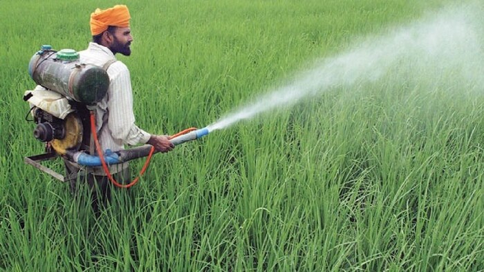 रंगों से करें कीटनाशक के खतरे की पहचान