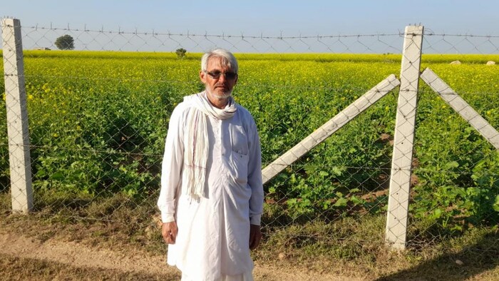 टोंक जिले में किसान गोपीलाल चौधरी के खेत में हुई तारबंदी. फाइल फोटो- Gopilal Choudhary