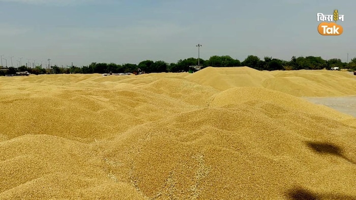 एमएसपी पर कितना गेहूं खरीदा गया (Photo-Kisan Tak).
