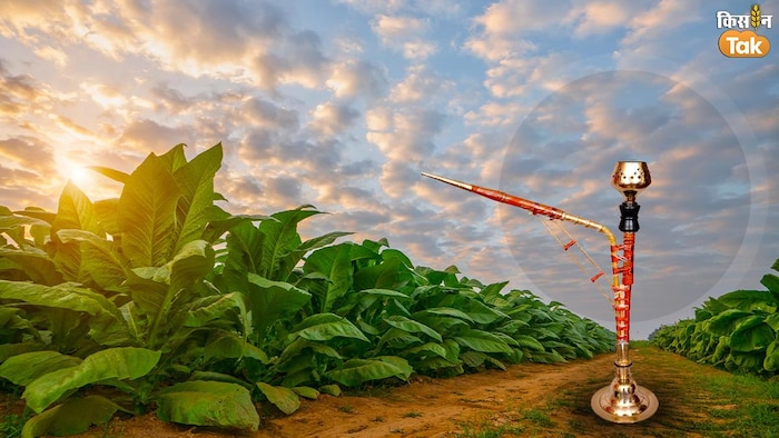 31 मई को पूरी दुनिया में world no tobacco day मनाया जाता है