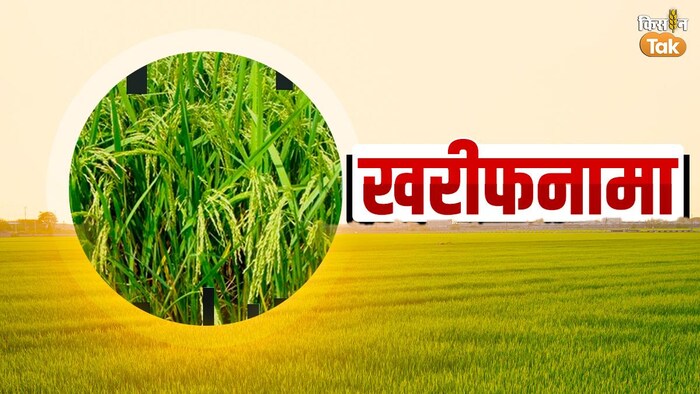 जिंको चावल एमएस के बारे में जानिए (Photo-Kisan Tak).