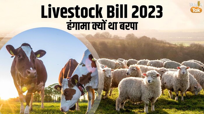 Livestock Bill 2023 को केंद्र सरकार ने वापस ले लिया है. GFX Sandeep Bhardwaj