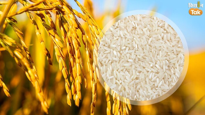 चावल को लेकर कर्नाटक और केंद्र के बीच क्यों शुरू हुआ विवाद (Photo-Kisan Tak).