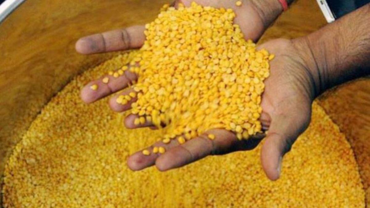 Toor Dal Price: क्या अब सस्ती हो जाएगी अरहर और उड़द की दाल? सरकार ने तय की स्टॉक लिमिट