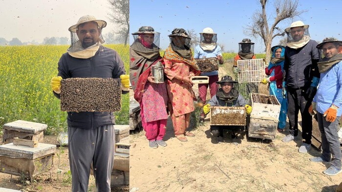 युवा किसान विशाल मधुमक्खी पालन का कार्य करते हुए