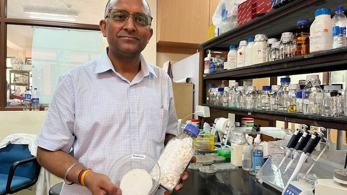 आईएचबीटी, पालमपुर ने इसी बॉयो प्लास्टिक को खोजा है. फोटो क्रेडिट-किसान तक