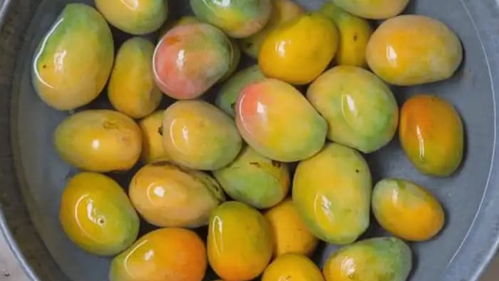 केमिकल से पके आम की पहचान