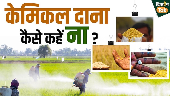 प्राकृतिक खेती को पूरी दुनिया में बढ़ावा दिया जा रहा है. Graphics: Sandeep Bharadwaj