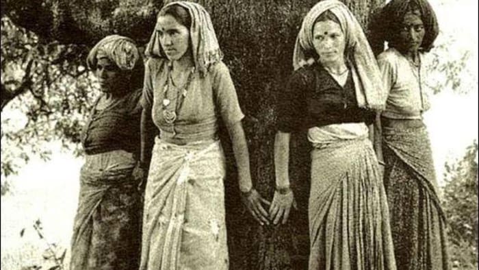 चिपको आंदोलन क्या है?, फोटो साभार: Madan Kaushik, KOO