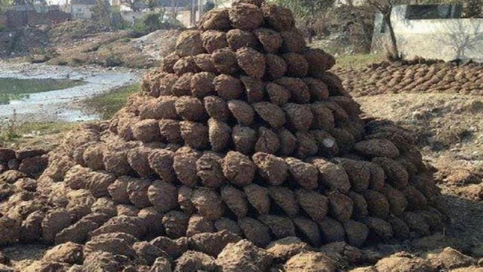 गोबर से बनाएं टाइल्स और कमाएं मुनाफा