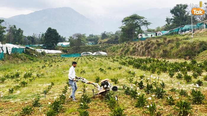 आईएचबीटी, कैम्पस. फोटो क्रेडिट-किसान तक