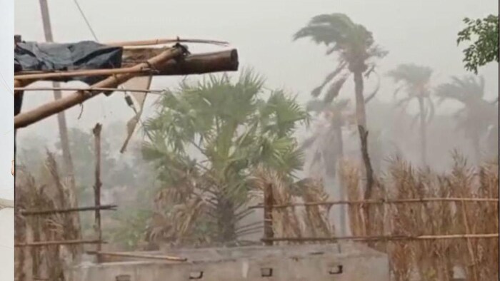 झारखंड में हुई अच्छी बारिश फोटोः किसान तक