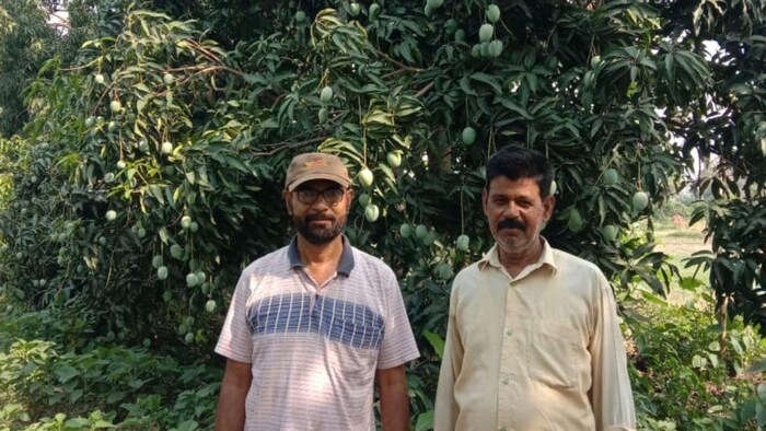 बिरसा हरित ग्राम योजना फोटोः किसान तक