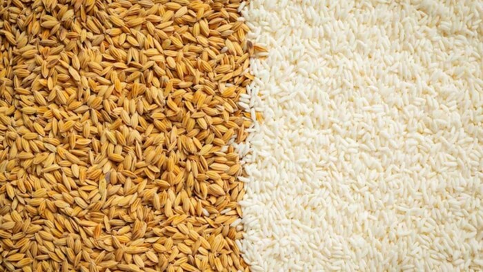 पोषण से भरपूर फोर्टिफाइड चावल का मार्च 2024 तक होने लगेगा पूरे यूपी में वितरण, फोटो: साभार फ्रीपिक