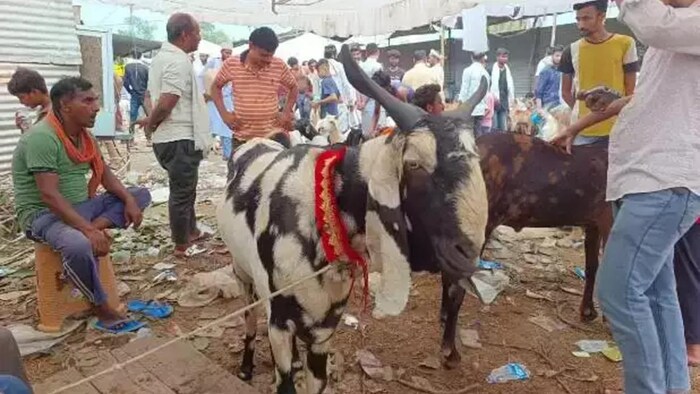 बनारस में बिकने आया अल्लाह और मोहम्मद लिखा बकरा