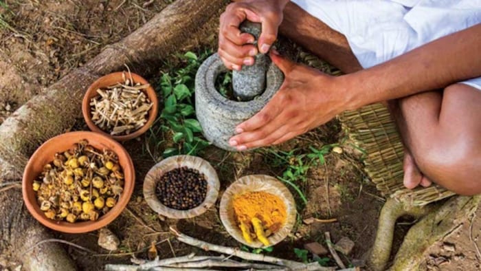 पेट के लिए जरूरी है ये 5 हर्ब्स