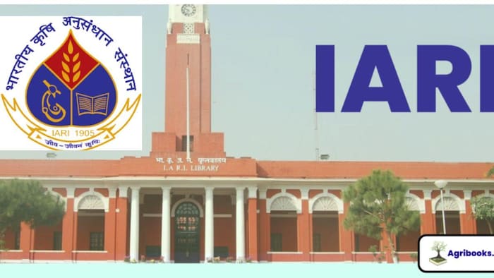 NIRF रैंकिंग 2023: IARI पूसा दिल्ली कृषि शिक्षा और शोध संस्थान टाप बना