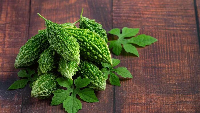 कई गुणों का भंडार है करेला