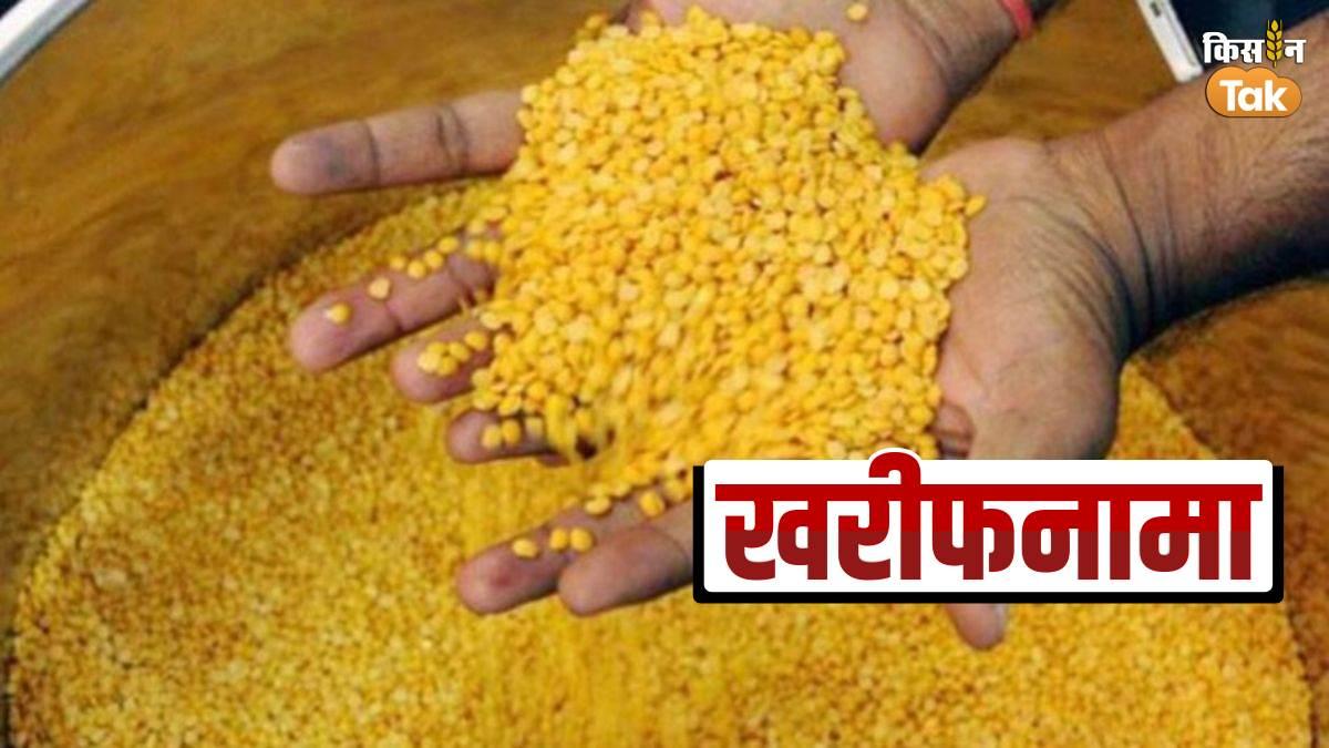 इस खरीफ सीजन अरहर की खेती करें किसान, होगा मुनाफा- फोटो किसान तक