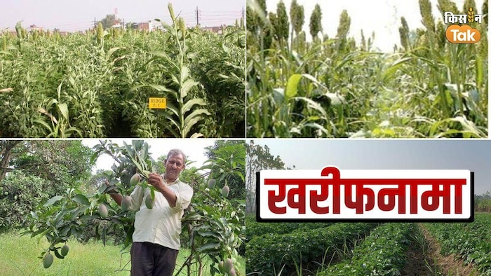 एक ही खेत में कई फसलों की खेती करना मिश्रित खेती कहलाता है. फोटो किसान तक