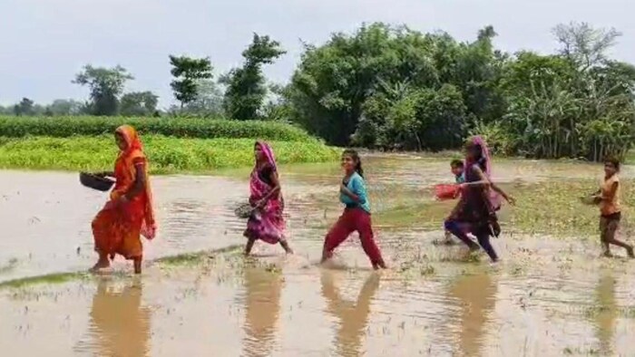 कोसी नदी के पानी से सुपौल के कई इलाकों में बाढ़ का पानी भर गया है