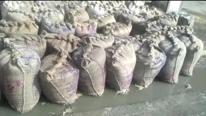 राजस्थान में बारदाने की कमी बताकर नहीं हो रही उपज खरीद. फोटो- Chetan Gurjar