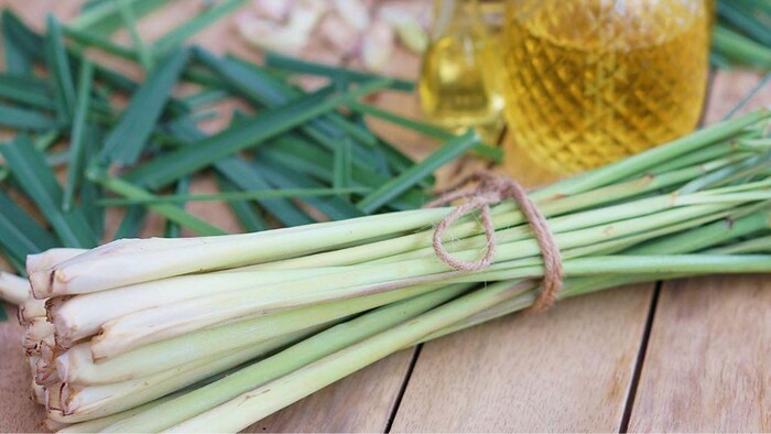 लेमनग्रास में छिपा है सेहत का राज