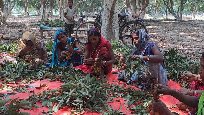 ग्रामीण श्रमिकों के लिए अखिल भारतीय उपभोक्ता मूल्य सूचकांक जारी किया गया है