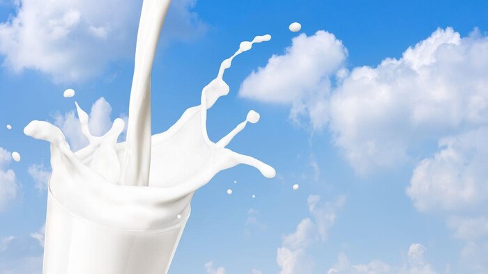 World Milk Day: शराब से भी ज्यादा नशीला होता है इस जानवर का दूध