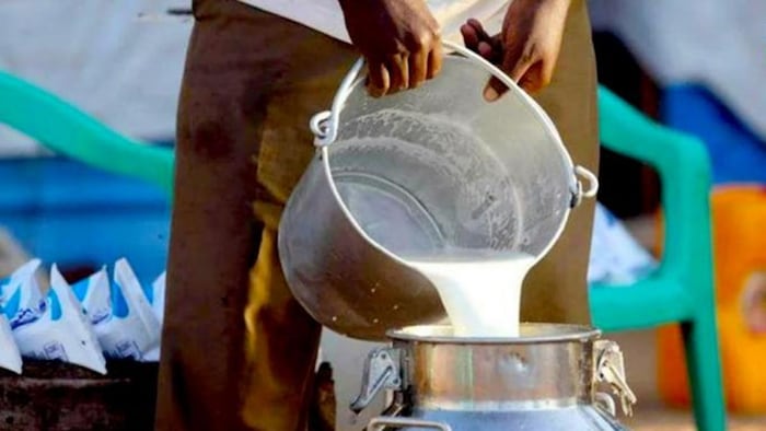 गर्मी में बढ़ने लगे दूध के दाम