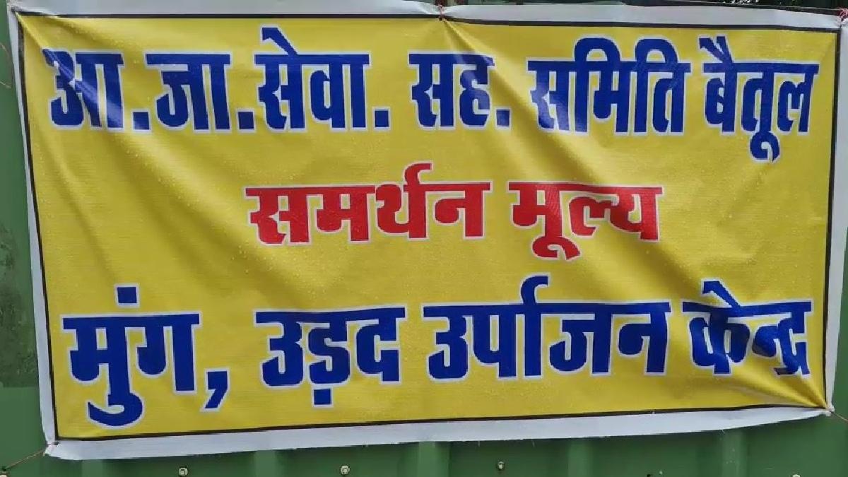 मध्य प्रदेश में मूंग खरीदी का काम प्रभावित हुआ है