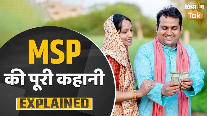 जानें क्या होती है किसानों की मिलने वाली MSP