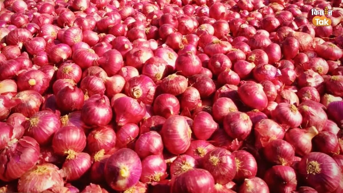 Onion Procurement: दो सहकारी संगठन म‍िलकर खरीदेंगे 300000 मीट्र‍िक टन प्याज, दाम का पता नहीं