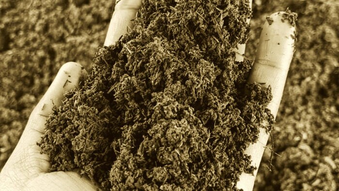 वैकल्पिक खादों के इस्तेमाल को बढ़ावा देगी सरकार (Photo-Kisan Tak).